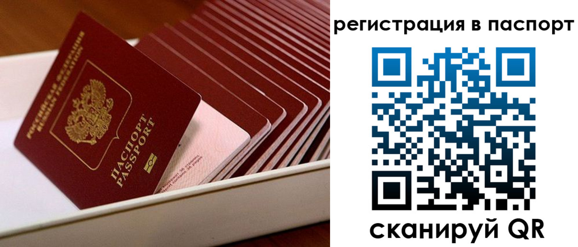 форма 3 в Новозыбкове