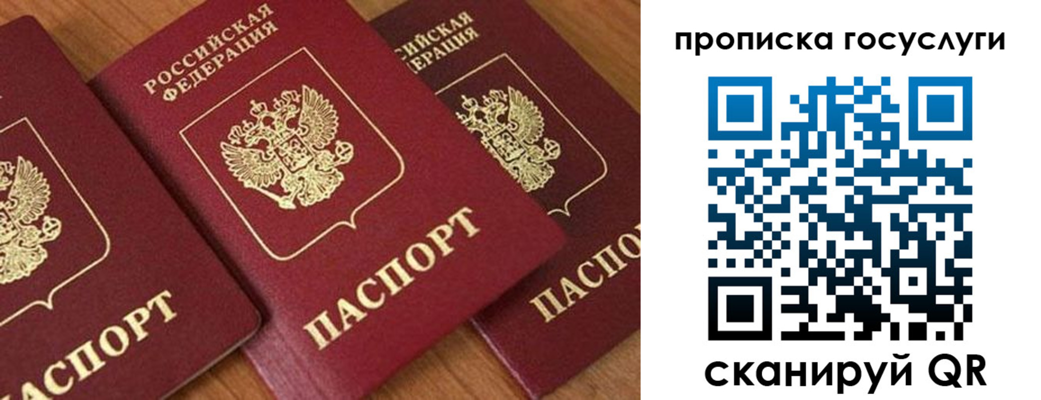 временная прописка в Новозыбкове